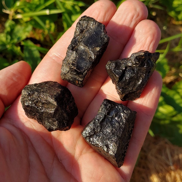 Various Small Bituminous Coal Chunks Carbonized Plant-Matter Fossil ~ Carboniferous Period ~ Michigan Coal Forest ~ Raw Natural Unpolished