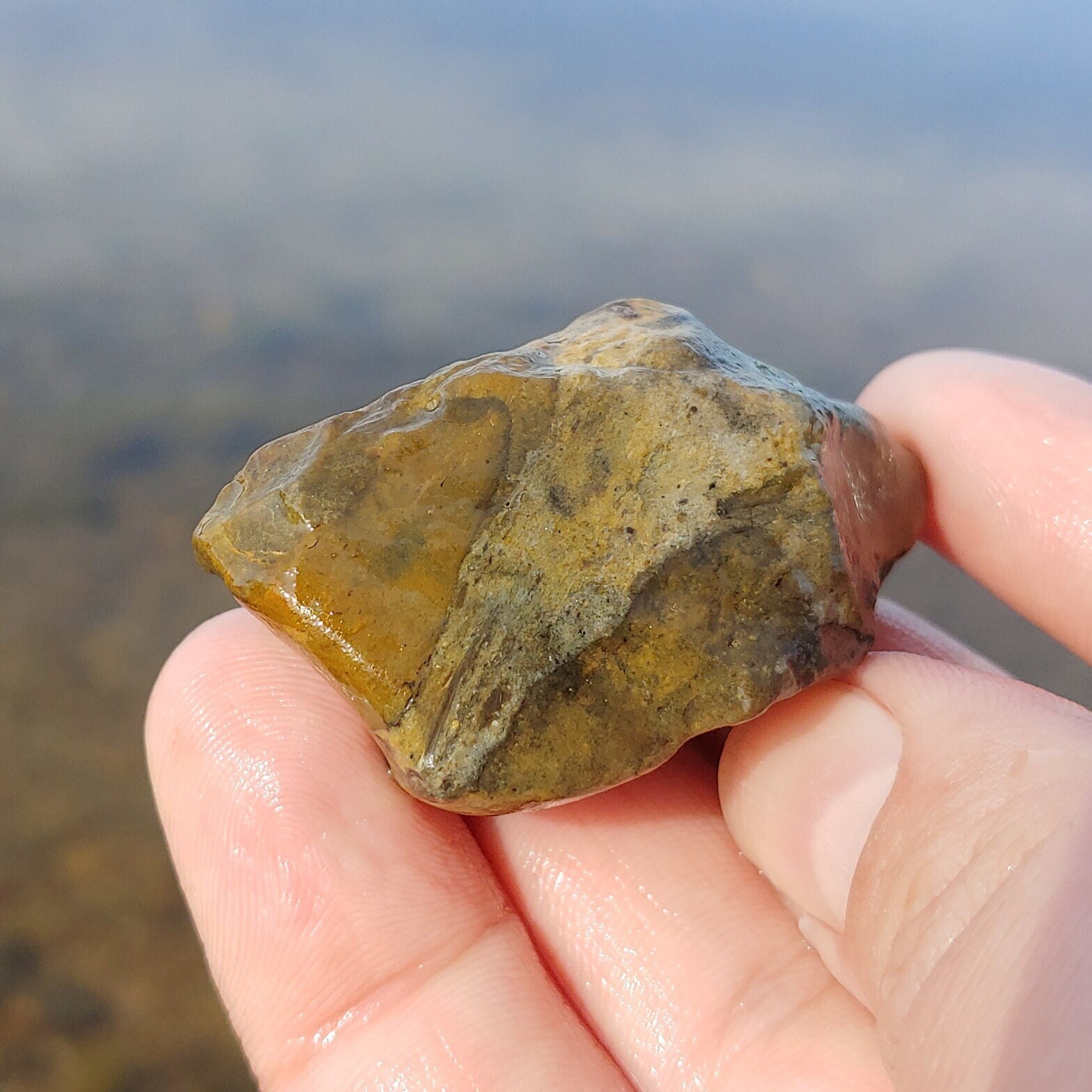 化石を含む縞状チャート岩、オレンジ色の褐鉄鉱、蛍光岩、ミシガン州五大湖の岩、35g、未加工の天然未研磨 - Etsy 日本