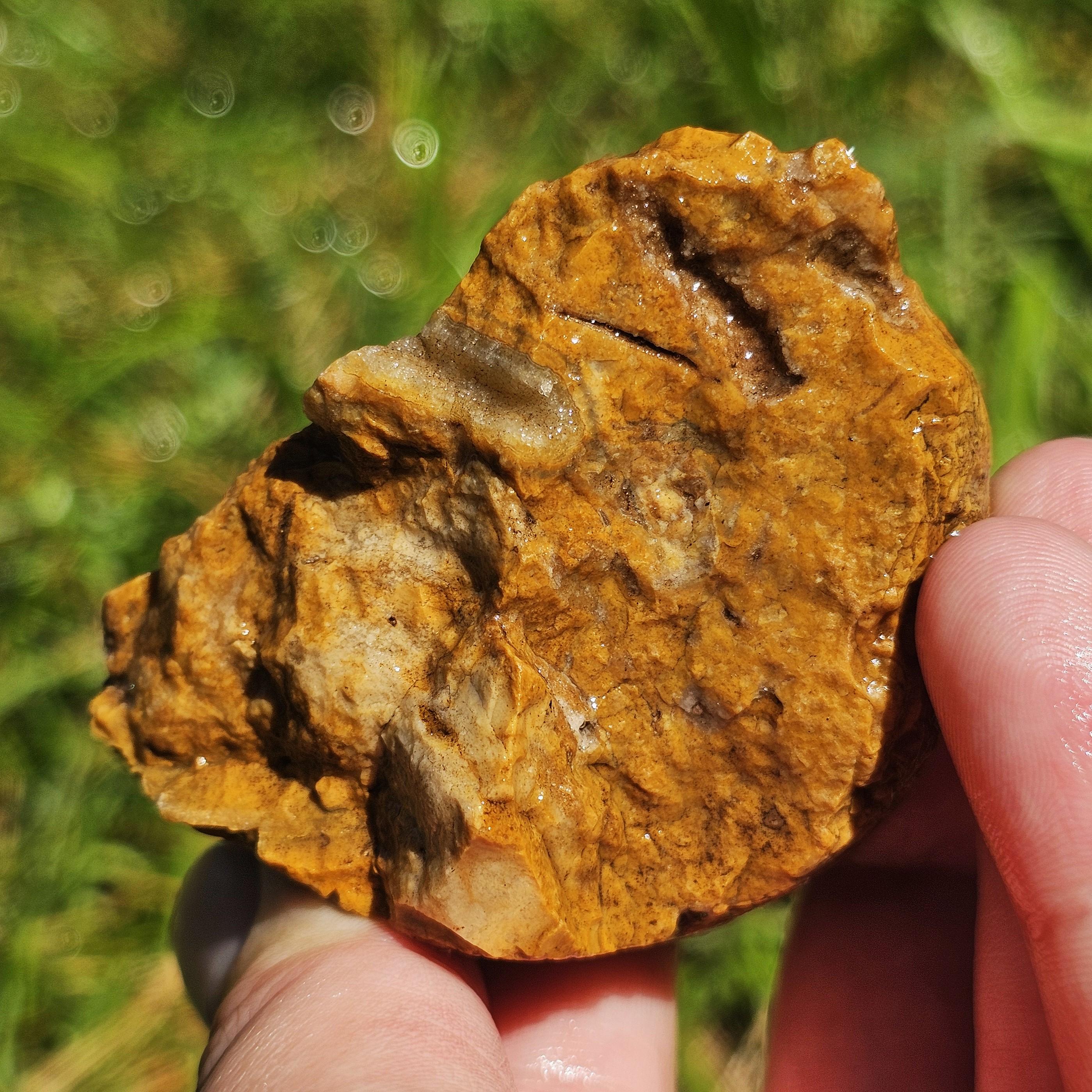 kaz)　割栗石(茶)400kg Arkansas Crowley Ridge Agate-jasper, Stromatolite Fossil W Shells