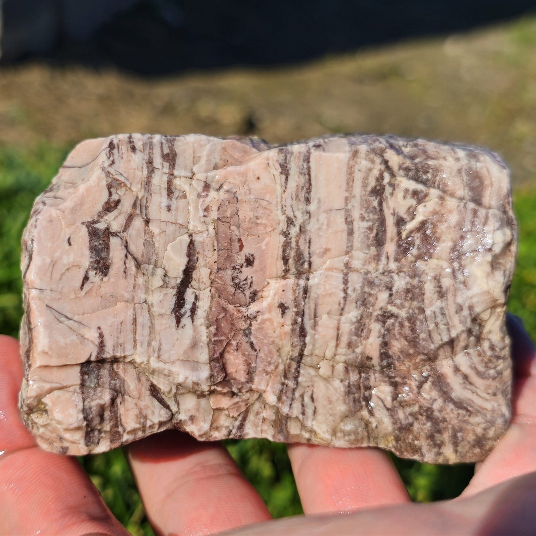 Cherty Kona Dolomite, Stromatolite Fossil, Dolomite Crystals, Rare ...