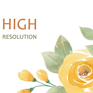 May include: A watercolor painting of yellow roses with green leaves. The text "HIGH RESOLUTION" is written in brown text at the top of the image.