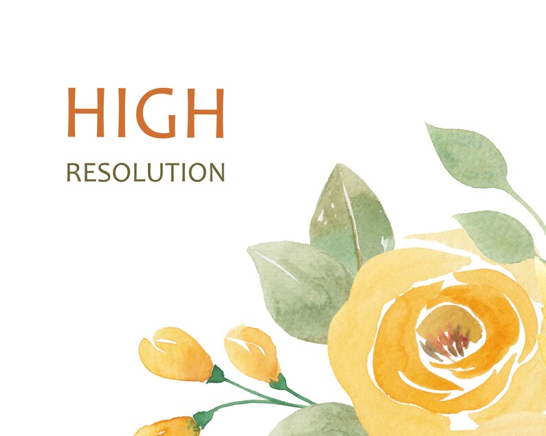 May include: A watercolor painting of yellow roses with green leaves. The text "HIGH RESOLUTION" is written in brown text at the top of the image.