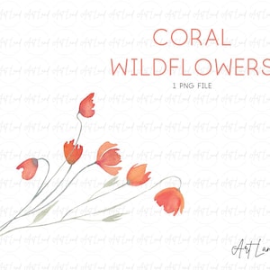 Watercolor Coral Wildflowers PNG, Hand Painted Floral Clipart, Botanical Flower Branch for Invitations, Cards, Digital Download