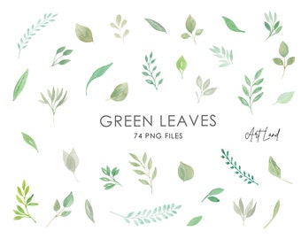 Watercolor Greenery Leaves Clipart Set – 74 Hand-Painted Branches & Foliage PNGs for DIY Crafts, Wedding Decor, Free Commercial Use
