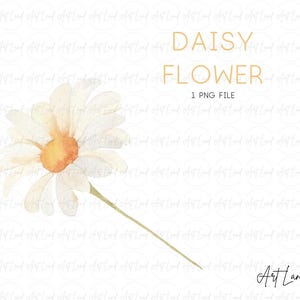 Watercolor Daisy Flower PNG, Hand Painted Floral Clipart, Botanical White Daisy Illustration for Invitations, Cards, Digital Download