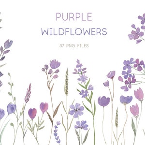 Watercolor Purple Wildflowers Clipart – 37 Hand-Painted Botanical PNGs for DIY Crafts, Floral Designs, Free Commercial Use