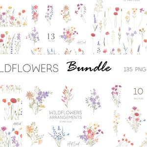 Aquarell Wildblumen Bundle Clipart, Blumensträuße Rahmen Blumen, Wildblumen handgemalte Clip Art Digital Download, kostenlose kommerzielle Nutzung, PNG