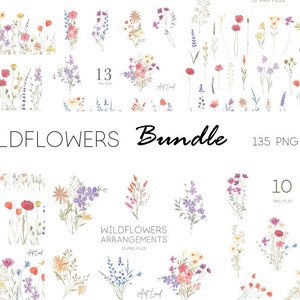 Watercolor Wildflowers Bundle clipart,bouquets frames floral, Wildflowers Hand painted Clip Art Digital Download, Free Commercial Use, PNG