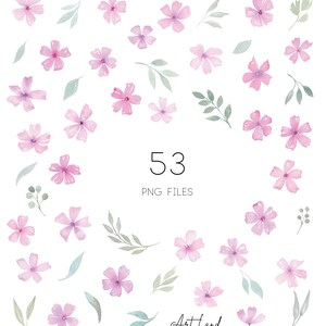 May include: A collection of 53 watercolor illustrations of pink flowers and green leaves. The illustrations are arranged in a random pattern on a white background. The text "53 PNG FILES" is in the center of the image.