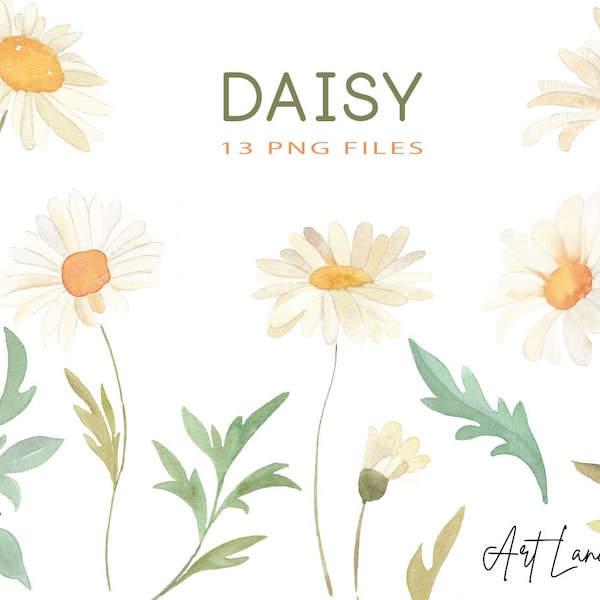 Watercolor Daisy Flower Clipart, Watercolor Clip Art, Watercolour Clip Art Digital, Spring Flowers, Wildflower, Chamomile, Clipart PNG