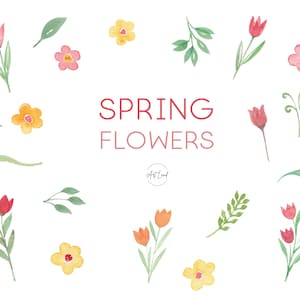 Aquarell Frühlingsblumen Clipart - 50 handgemalte PNGs von Tulpen und Frühlingselementen für Bastelarbeiten, Einladungen, freie kommerzielle Nutzung