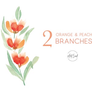 Clipart de rama floral en acuarela: 2 PNG de flores naranjas y melocotón pintadas a mano para manualidades, invitaciones y uso comercial gratuito.