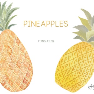 May include: Two watercolour illustrations of pineapples. One pineapple is yellow with a light brown pattern. The other pineapple is orange with a light brown pattern. The text "PINEAPPLES" and "2 PNG FILES" is written in the image.