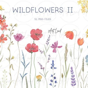 Watercolor Wildflowers Clipart – 51 Hand-Painted PNGs of Colorful Spring Flowers for DIY Crafts, Invitations, Free Commercial Use