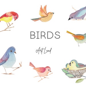 Watercolor Birds Clip art Set, Hand Painted Birds Watercolour Clipart, Garden Birds Watercolor Clipart, Clip Art, PNG