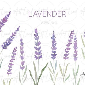 Akvarell lavendel clipart – 14 handmålade lavendel-PNG:er för DIY-pyssel, Provence-dekor, bröllopsinbjudningar, gratis kommersiellt bruk bild 1