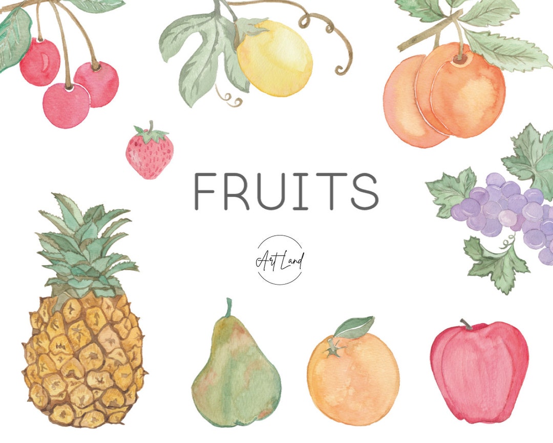 Watercolor Clipart, Fruit Clipart, Food, Tropical Watercolour Clipart ...