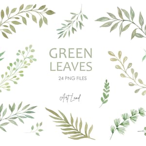 Watercolor Clipart Greenery Leaves Branches Foliage Green, Watercolour Clip Art Digital Download Free Commercial Use PNG, Watercolor Leaves image 1