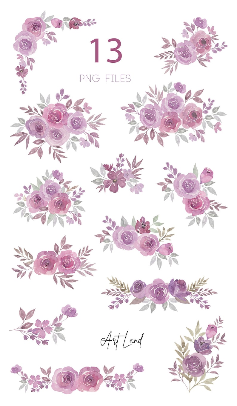 May include: A set of 13 watercolor floral illustrations featuring purple and pink roses, leaves, and stems. The illustrations are perfect for adding a touch of elegance to any project.