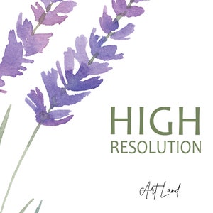 Akvarell lavendel clipart – 14 handmålade lavendel-PNG:er för DIY-pyssel, Provence-dekor, bröllopsinbjudningar, gratis kommersiellt bruk bild 3