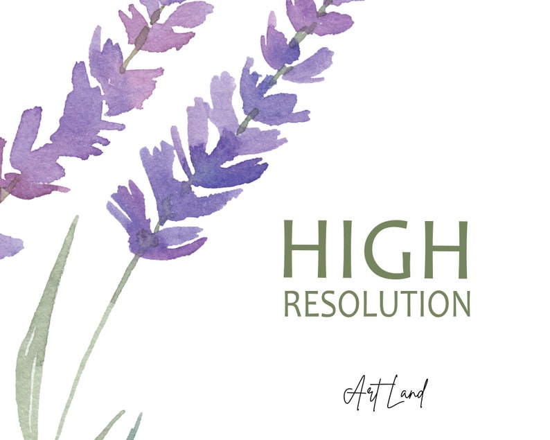 Akvarell lavendel clipart – 14 handmålade lavendel-PNG:er för DIY-pyssel, Provence-dekor, bröllopsinbjudningar, gratis kommersiellt bruk bild 3