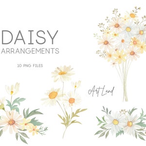 Watercolor Daisy Flower Arrangement Clipart, Daisy Bouquet Watercolour Clip Art Digital, Spring Flowers, Wildflower, Chamomile, Clipart PNG