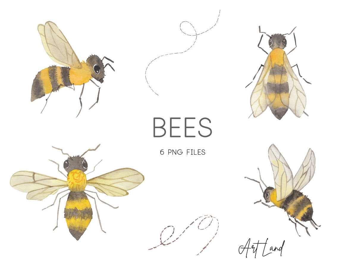 Bee PNG Images, Download 15000+ Bee PNG Resources with Transparent  Background