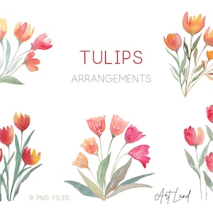 Watercolor Tulip Arrangements Clipart - 9 Hand-Painted PNG Bouquets for DIY Crafts, Spring Invitations, Cards, Commercial Use