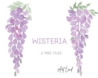 Watercolor Wisteria Clipart, Purple Wisteria Leaves, Watercolour Clip Art Digital Download, Free Commercial Use, PNG