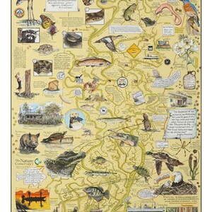Puede incluir: Mapa ilustrado detallado del delta del r&iacute;o Mobile-Tensaw, con diversa fauna y puntos de referencia. El mapa incluye ilustraciones de una garza, un caim&aacute;n, peces y otros animales, con etiquetas de texto.