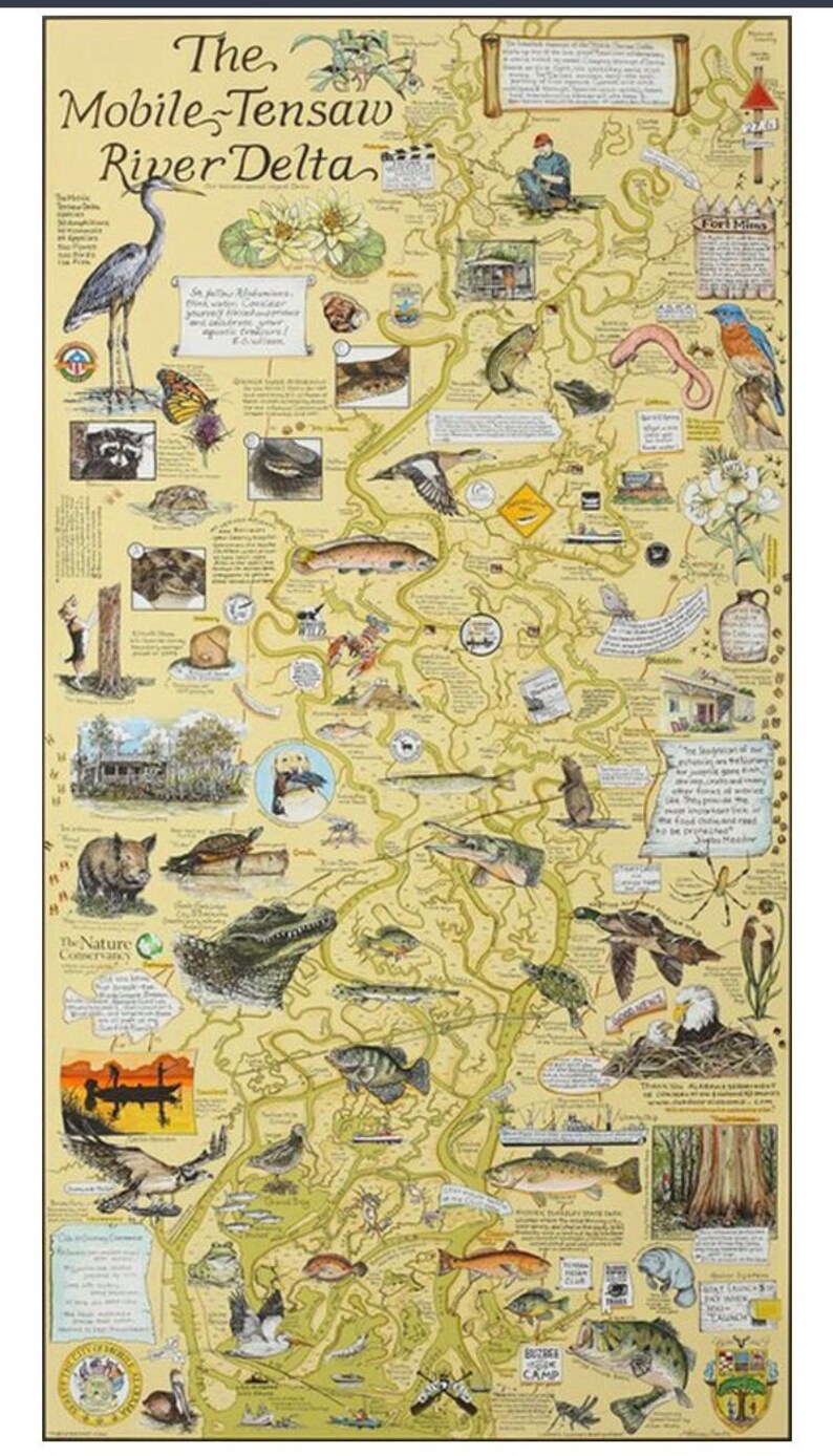 Puede incluir: Mapa ilustrado detallado del delta del r&iacute;o Mobile-Tensaw, con diversa fauna y puntos de referencia. El mapa incluye ilustraciones de una garza, un caim&aacute;n, peces y otros animales, con etiquetas de texto.