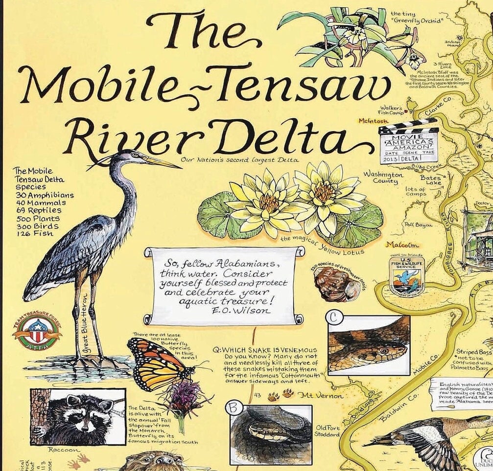 Mobile-Tensaw River Delta, Alabama