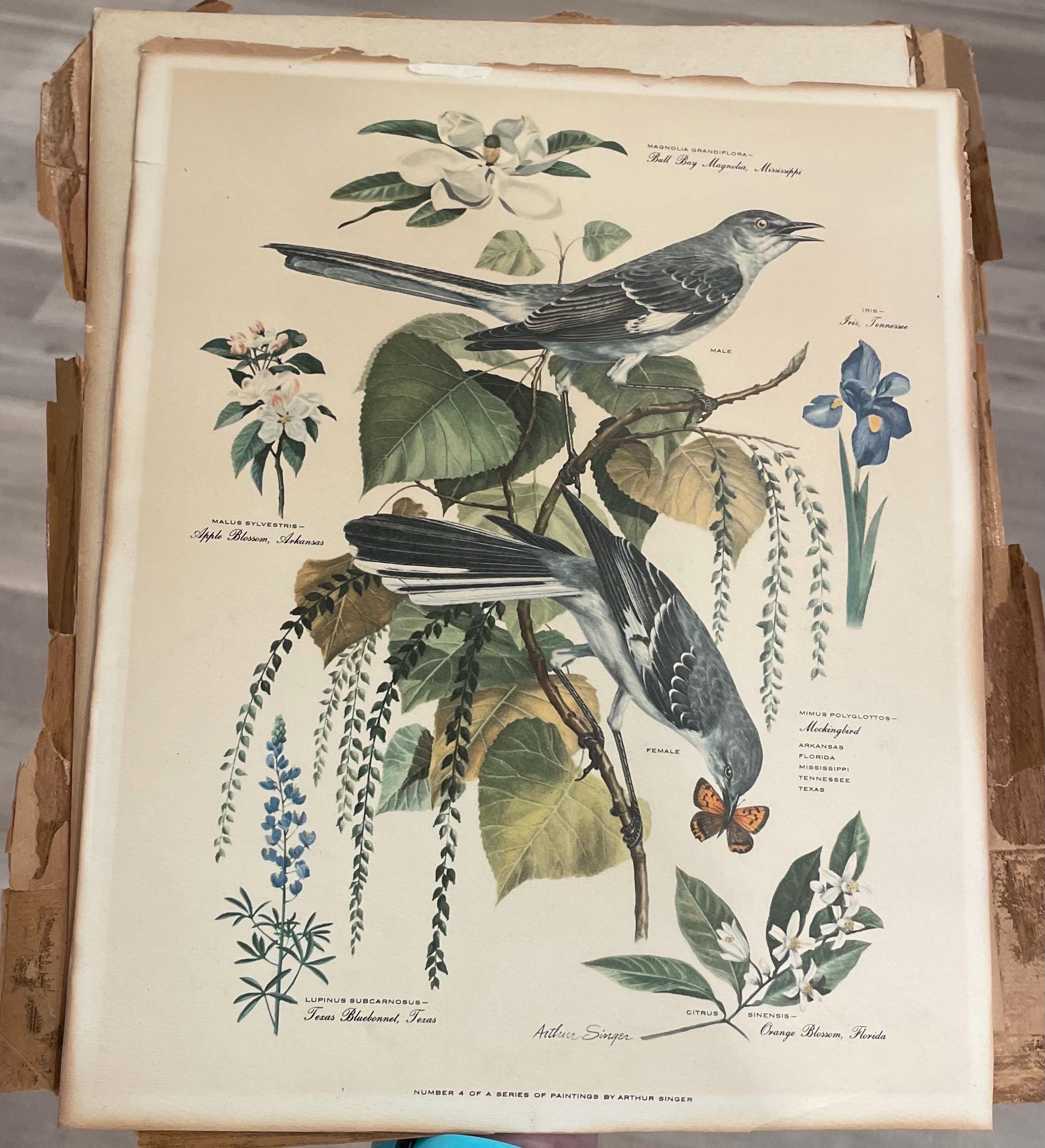 Arthur Singer Bird Prints - Etsy