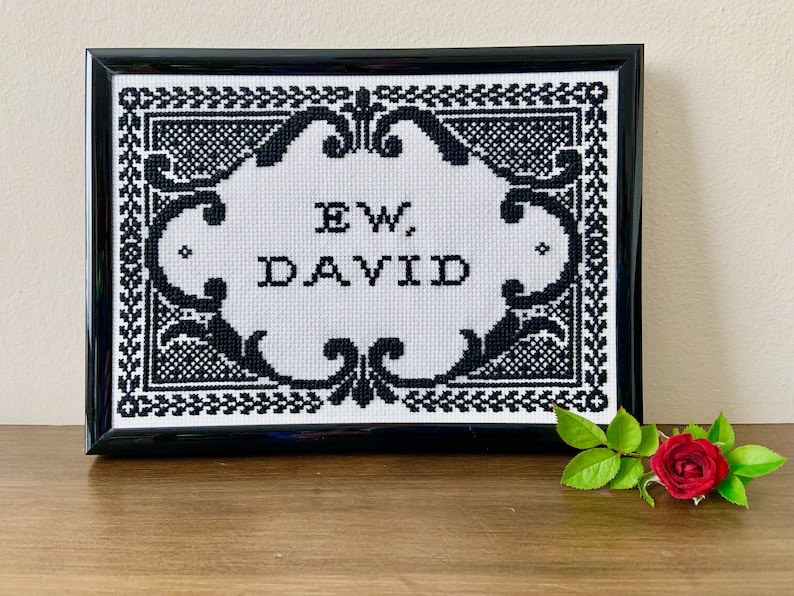 May include: A black and white cross-stitch embroidery framed in a glossy black frame. The design features a decorative border surrounding the text "EW, DAVID" stitched in black thread on a white fabric background, creating a high-contrast piece.