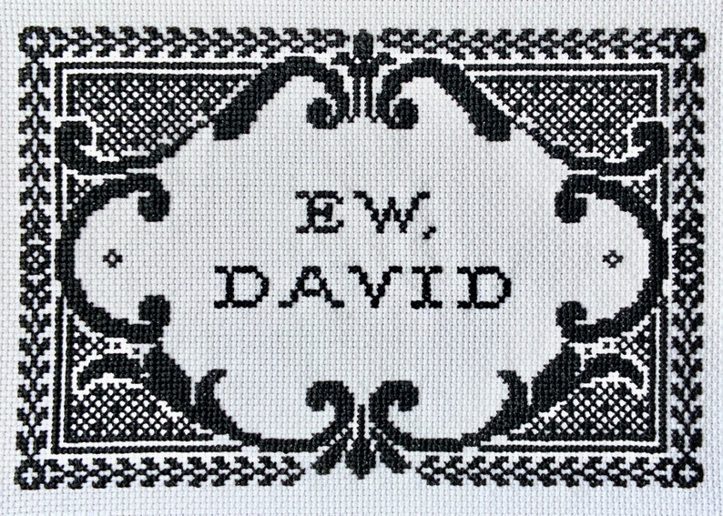 Pattern - Ew, David (Schitt's Creek) - 5"x7" cross stitch chart PDF digital instant download image 4