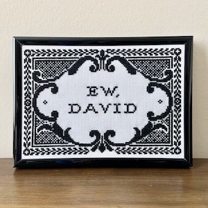 May include: A black and white cross-stitch embroidery in a black frame featuring the text "EW, DAVID" centered within an ornate, decorative border pattern. The design uses black thread on a white fabric background, creating a high-contrast look.