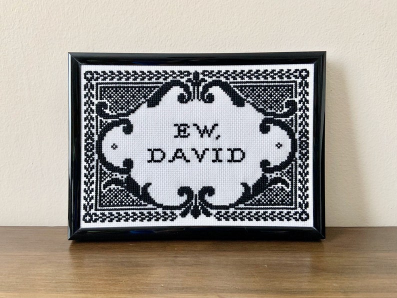 May include: A black and white cross-stitch embroidery in a black frame featuring the text "EW, DAVID" centered within an ornate, decorative border pattern. The design uses black thread on a white fabric background, creating a high-contrast look.