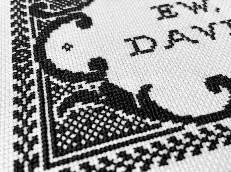 Pattern - Ew, David (Schitt's Creek) - 5"x7" cross stitch chart PDF digital instant download image 6