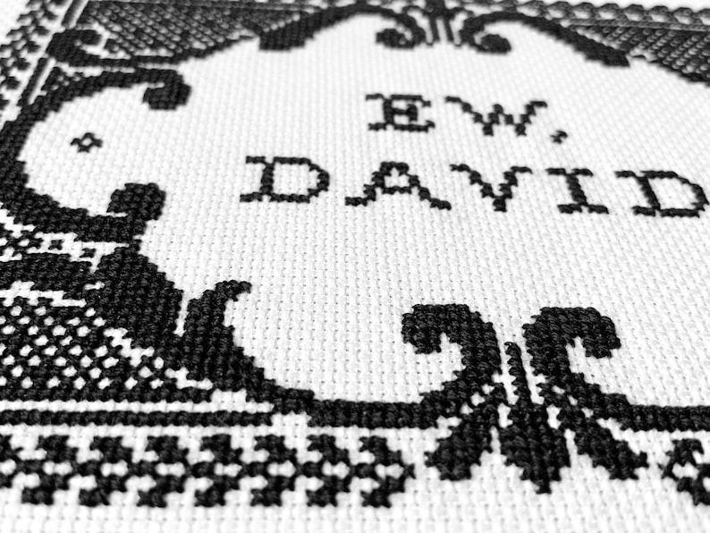 May include: A black and white cross-stitch embroidery on fabric featuring the text "EW, DAVID" in a bold, block-style font. The lettering is surrounded by an intricate, decorative black border with ornate scrollwork and geometric patterns.