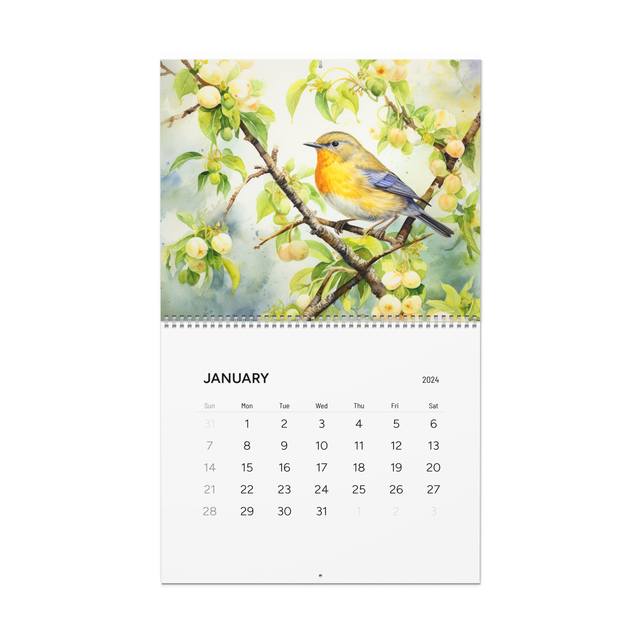 Bird calendar 2024, bird fruit tree calendar 2024, 2024 calendar bird