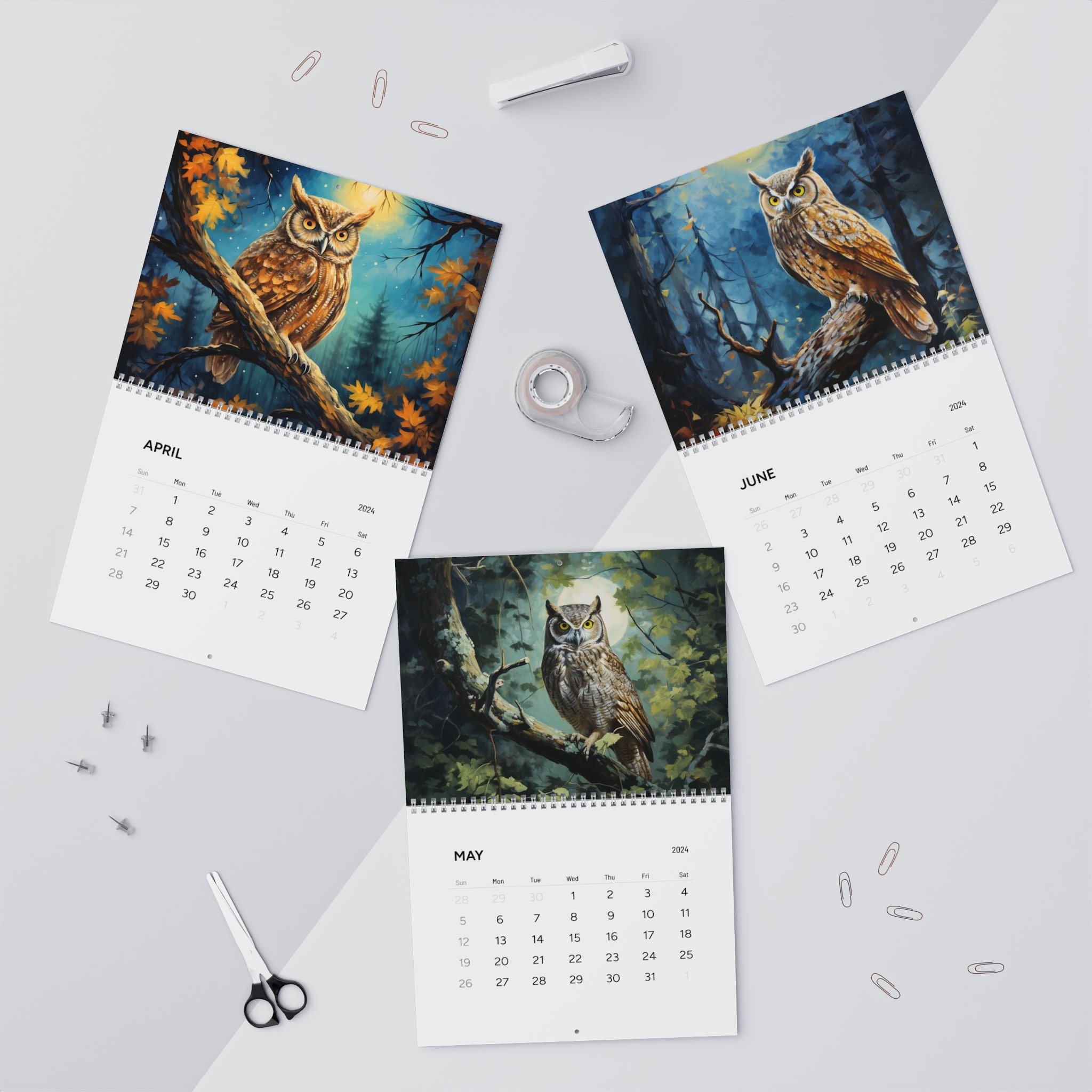 Owl 2024 calendar, 2024 bird calendar, owl calendar 2024, bird calendar