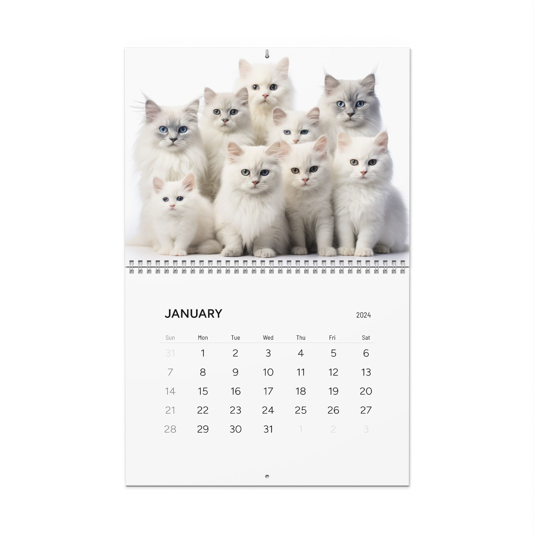 Cat Calendar 2024 Cute Cat 2024 Calendar Kitten Calendar Etsy Australia