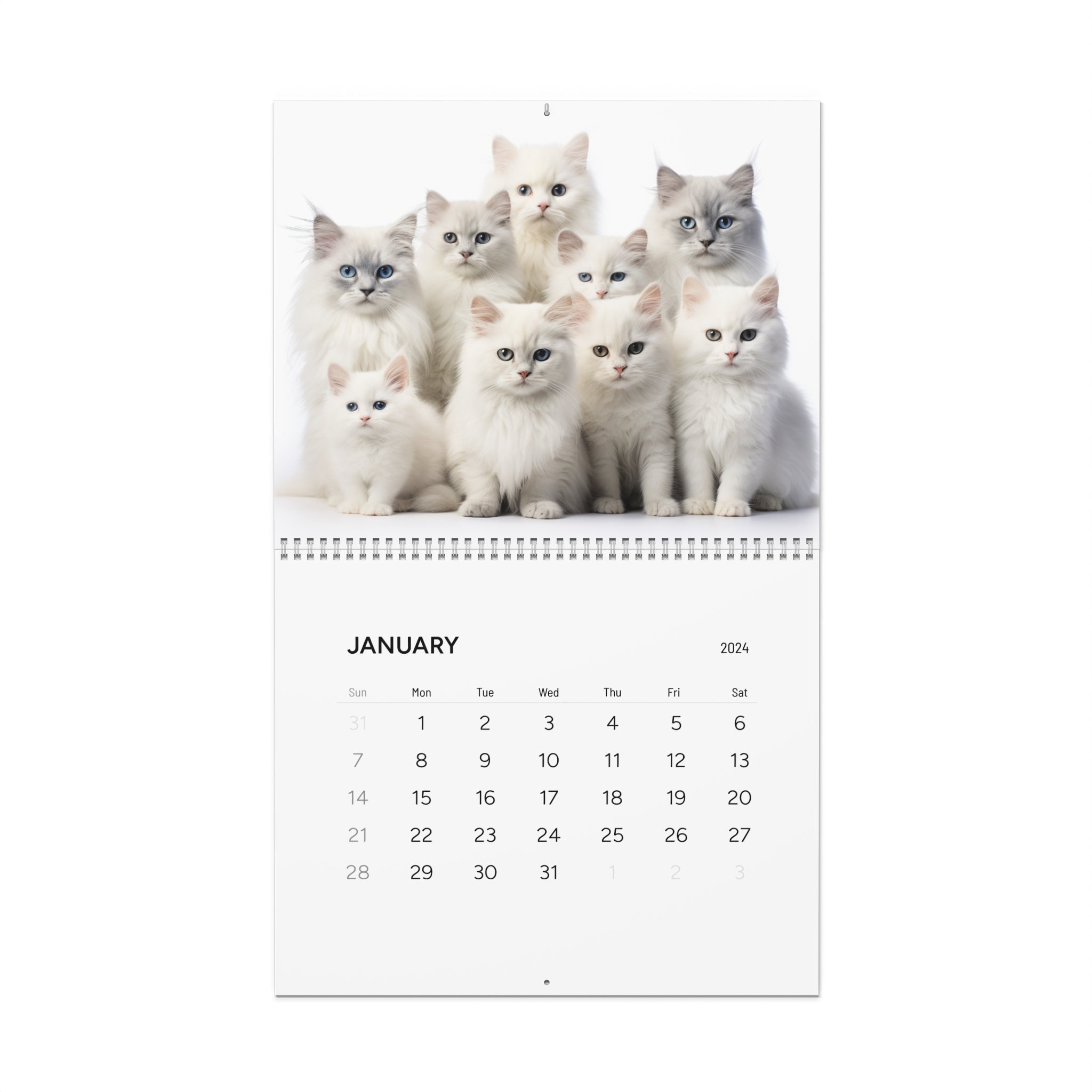 Cat calendar 2024, cute cat 2024 calendar, kitten calendar 2024, new