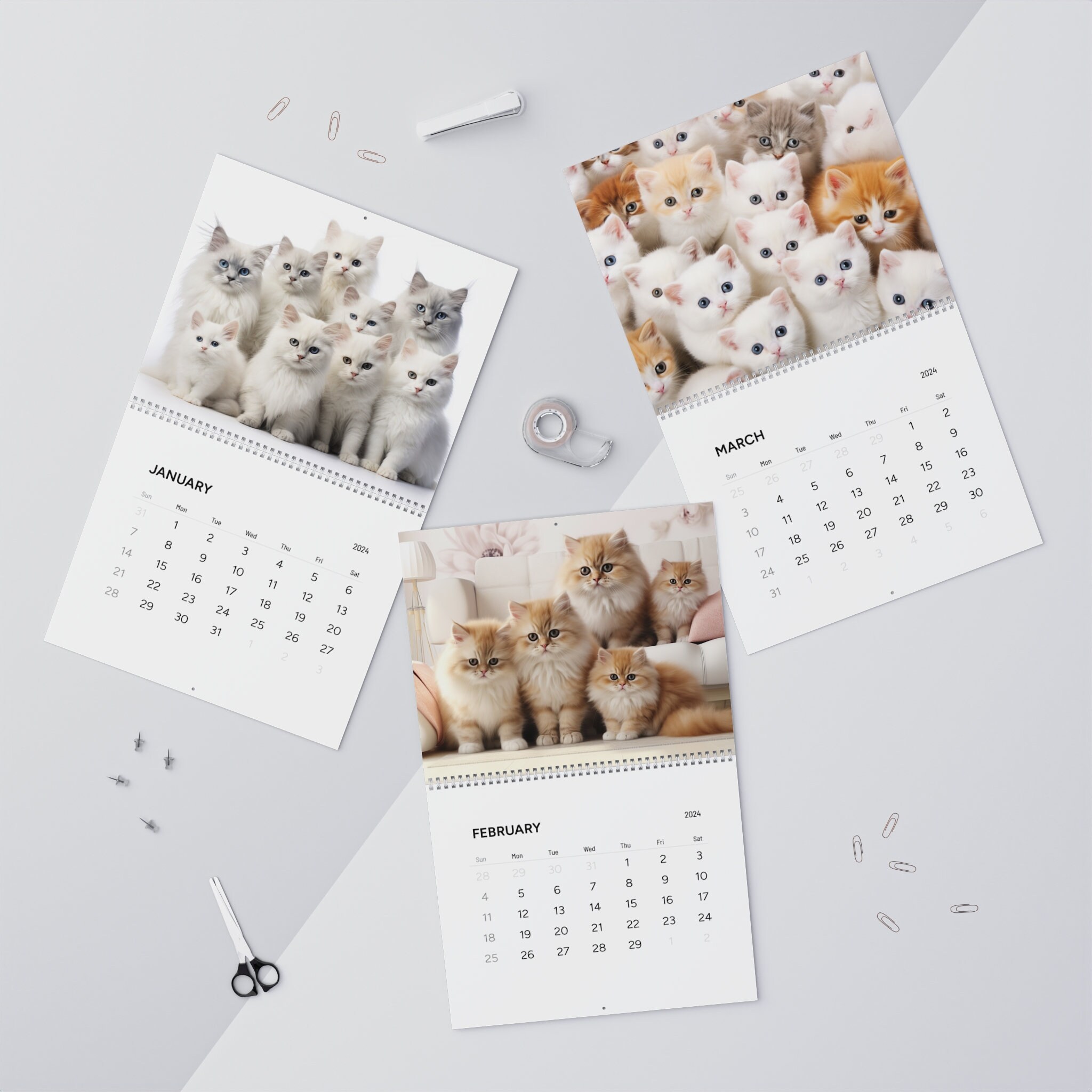 Cat calendar 2024, cute cat 2024 calendar, kitten calendar 2024, new