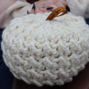 Chunky rustieke boerderij pompoenen, pompoen decor, herfst decor, Thanksgiving tafel decor, gehaakte pompoen, gebreide pompoen