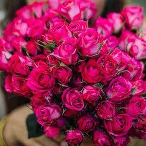 Sessione di orientamento di amore