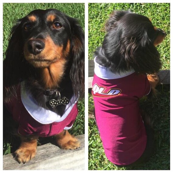 dog rugby jersey