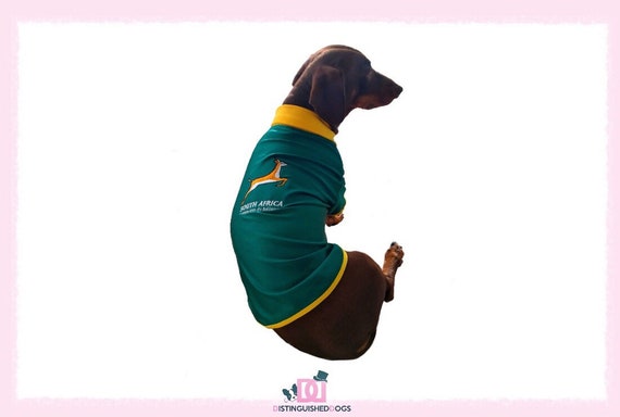 springbok dog jersey