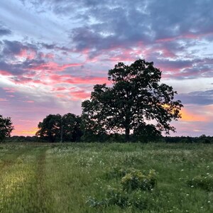 Oklahoma Spring Sunset Country Field Digital Download