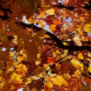 Oklahoma Redbud Tree in Autumn Painting Digital Print Art